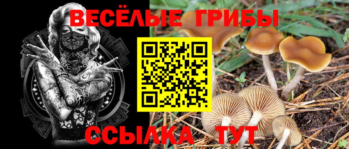 Галлюциногенные грибы прущие грибы  Галлюциногенные грибы Psilocybe  Вход с VPN  Нижневартовск 